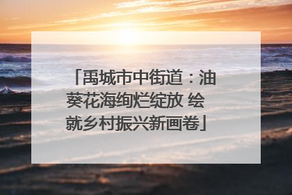 禹城市中街道：油葵花海绚烂绽放 绘就乡村振兴新画卷